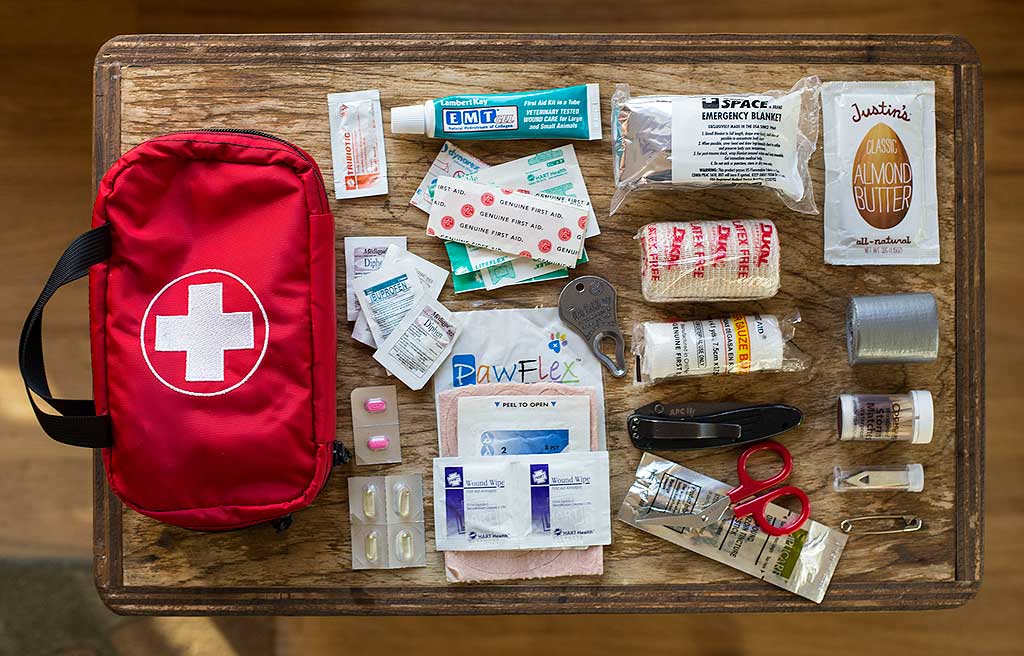 Darcy's First Aid Pouch | TOM BIHN
