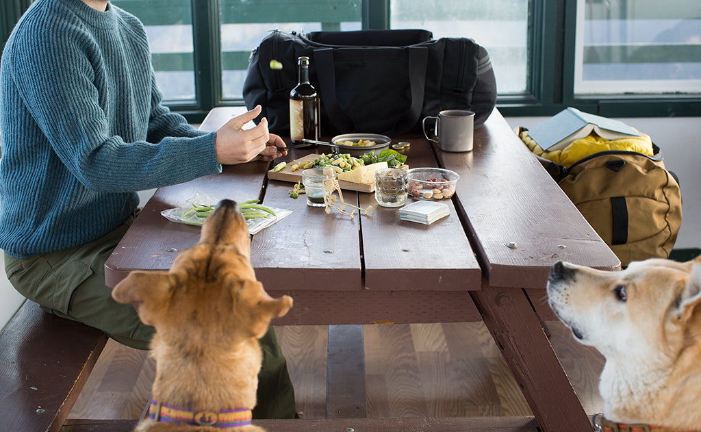 A picture of the Road Buddy Duffel on a picnic table. A person is eating at the table while two dogs sit next to them.