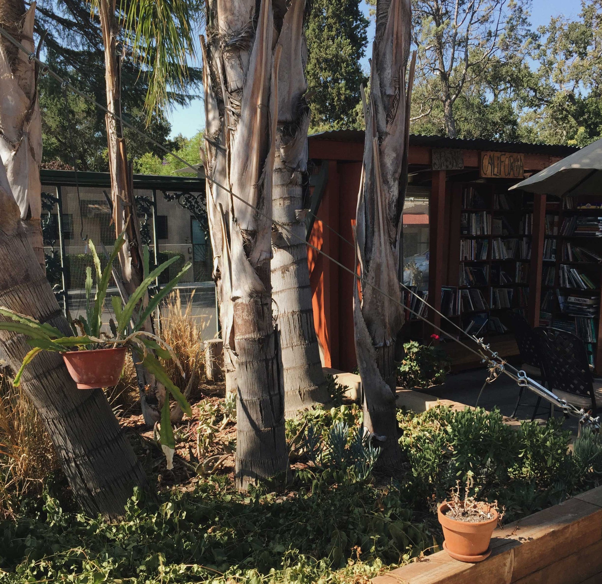Bart's Books of Ojai » The World's Greatest Outdoor Bookstore