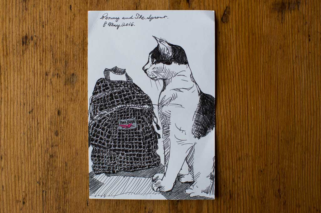 Postcards | TOM BIHN