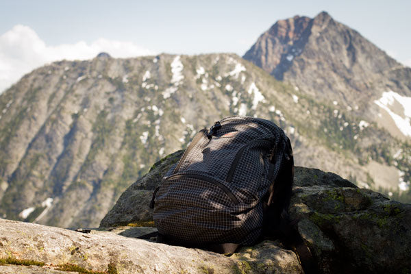 TOM BIHN Synapse 19 backpack