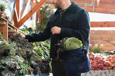 visible lifestyle^^A person carrying a Forager holding some lettuce and Swiss chard.
