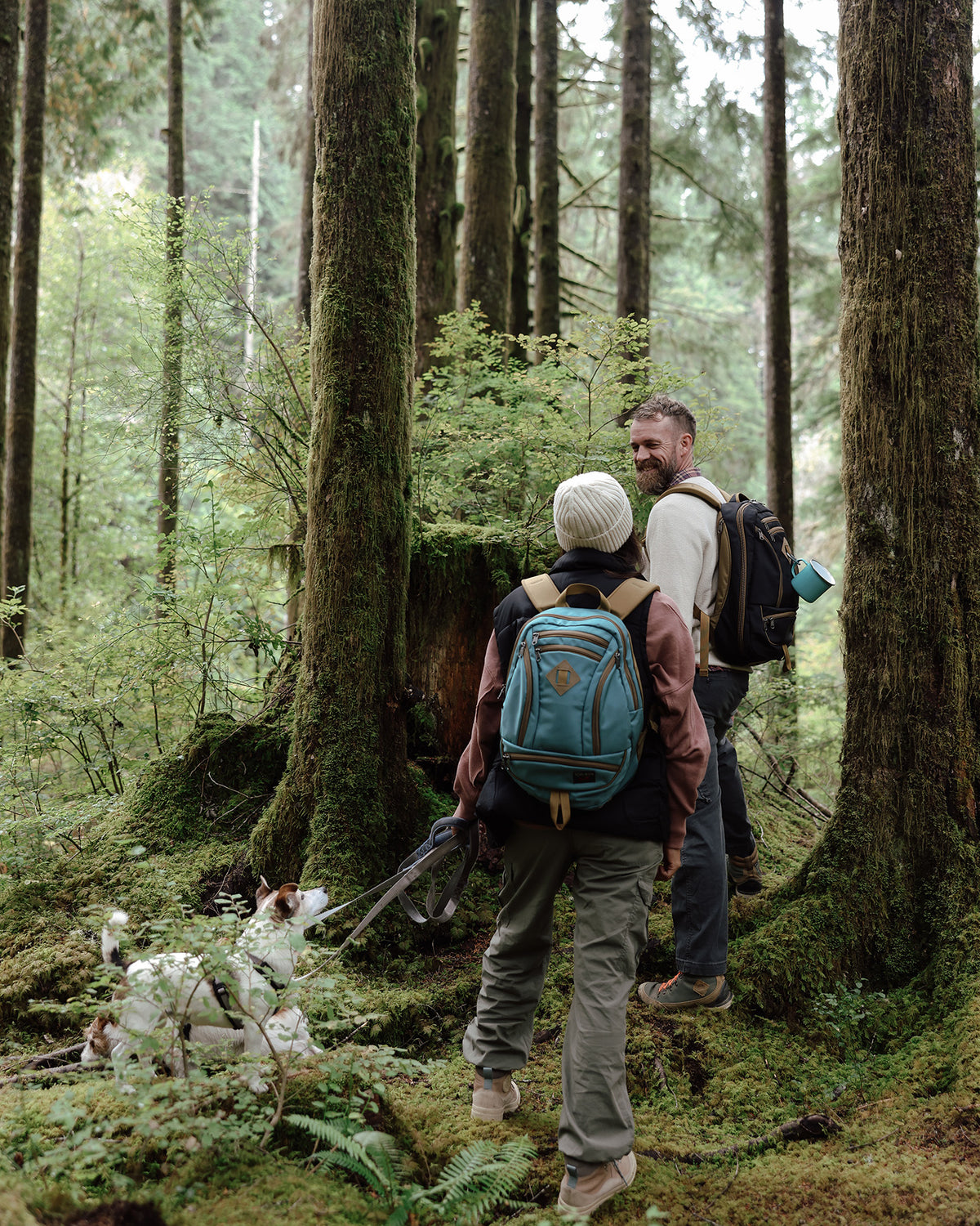 visible lifestyle^^A person carrying a GE Synapse 19 in an old-growth forest