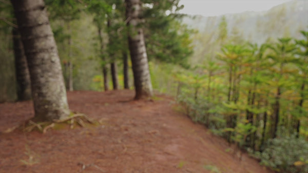 A man hiking wearing the synik 30