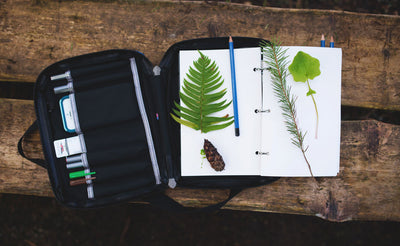 lifestyle visible^^A person sketching plants of the Field Journal Notebook