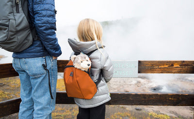 lifestyle visible^^A child wearing The Sprout accompanied by their parent at a geyser.