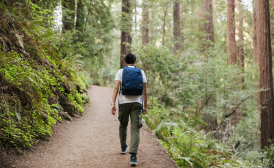 lifestyle visible^^A person walking through the woods with a Deep Blue Paramour on their back. 