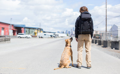 visible variant TB0117-BKLJ^^Nik standing in the alley behind the factory wearing the Shadow Guide 33. Next to him is a mixed-breed dog who looks up at him.