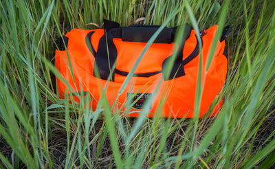lifestyle visible^^Mini Yeoman in Orange 152 showing off how highly visible it is in some tall grass!