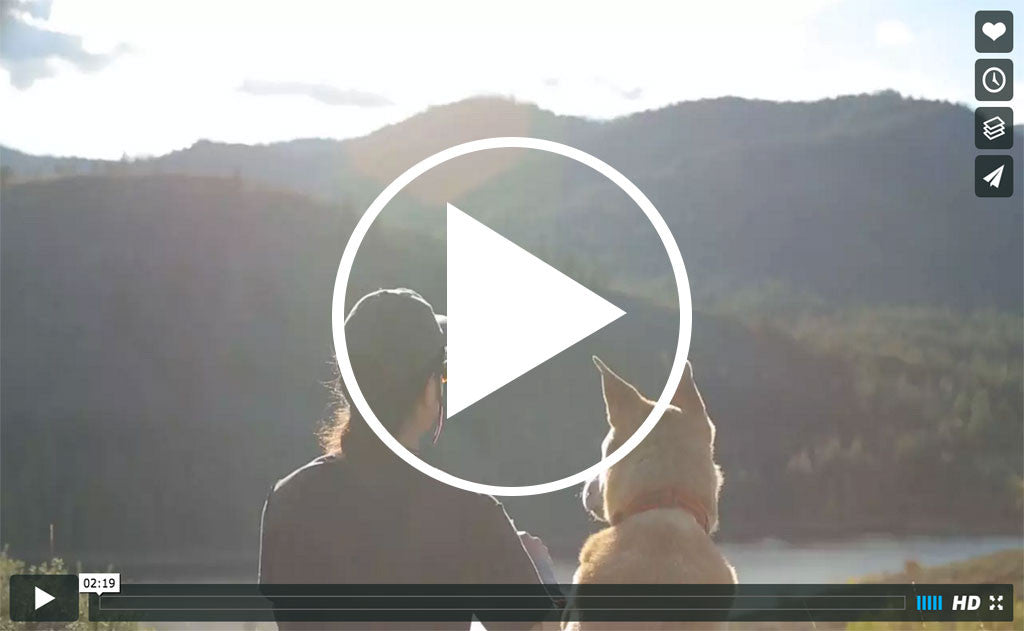 visible video^^Thumbnail of a video showcasing Skookum Dog products.