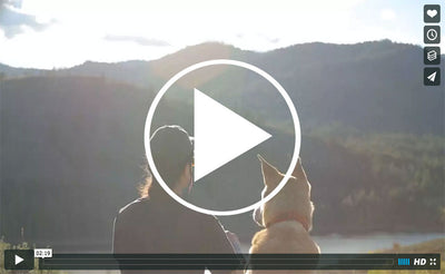 visible video^^Thumbnail of a video showcasing Skookum Dog products.